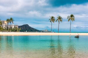 Photo Tropical paradise