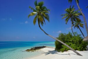 Photo Tropical paradise