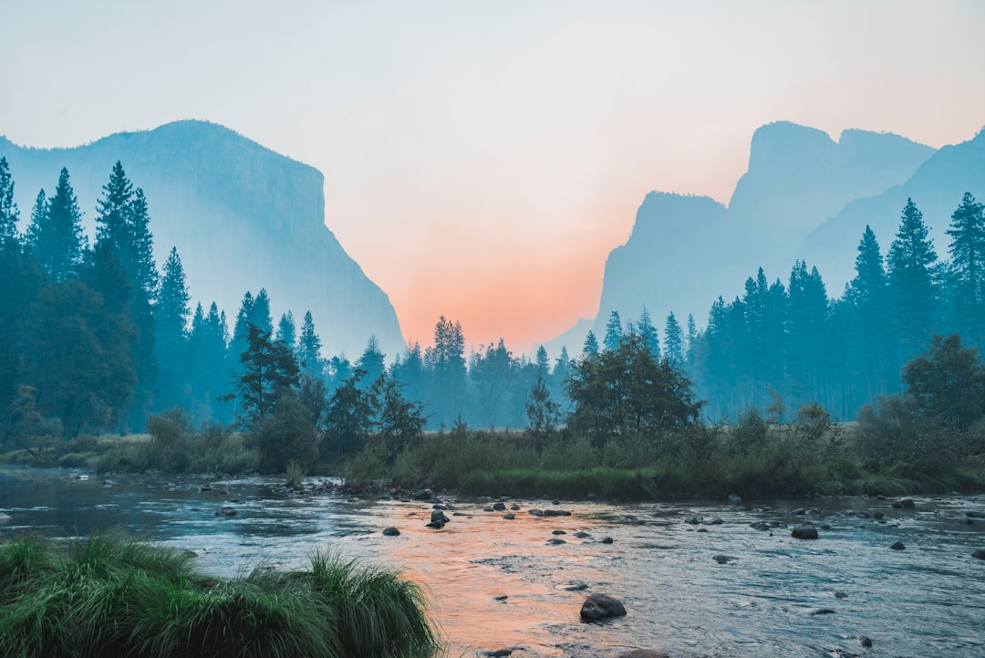 Photo Activity: Relaxation Image: Nature scene