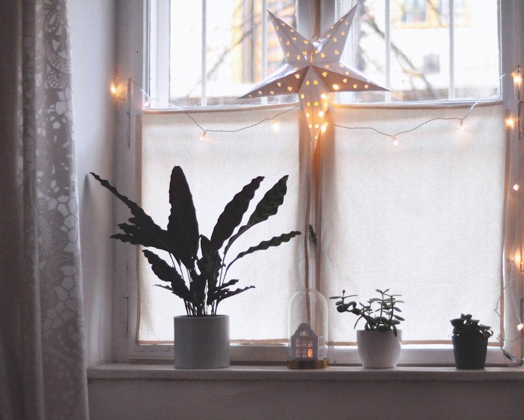 Photo Scandinavian Interior: Hygge