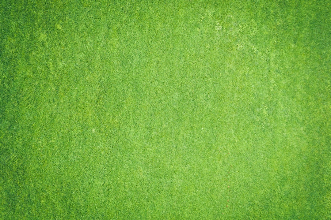 Photo Image: Green Classroom Nouns: Culture, Education, Sustainability, Environment, Classroom