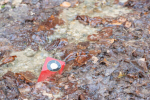 Honor                    ©Mihnea Ratte-646